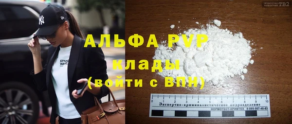 гашик Куйбышев