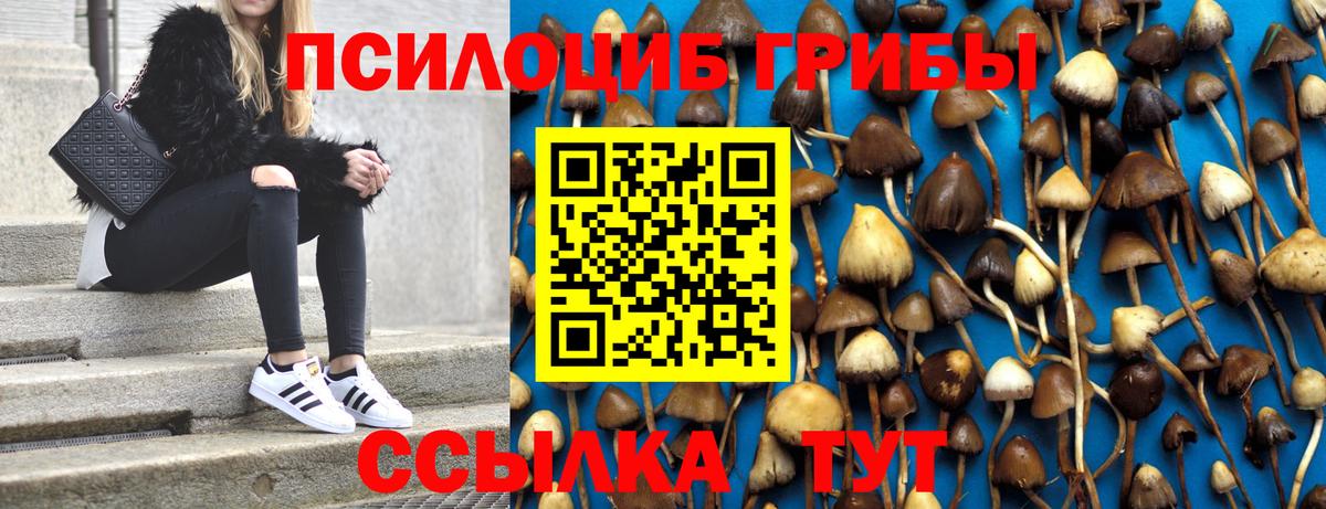 Галлюциногенные грибы MAGIC MUSHROOMS Карпинск