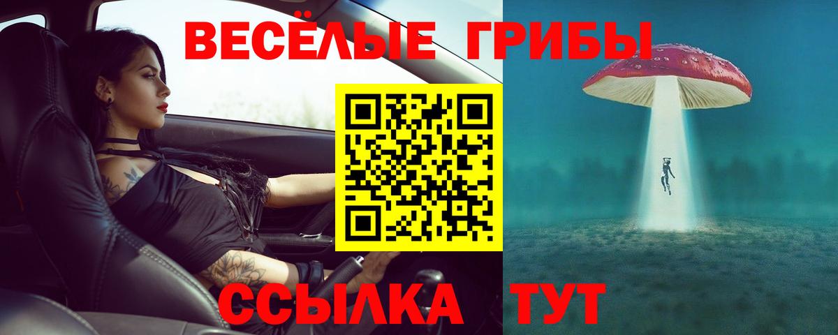 Карпинск  купить наркоту  Вход с VPN  Галлюциногенные грибы Cubensis 